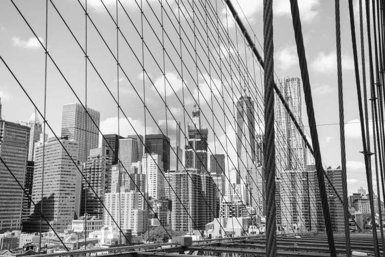 29041204852_d24fe27a2d_o