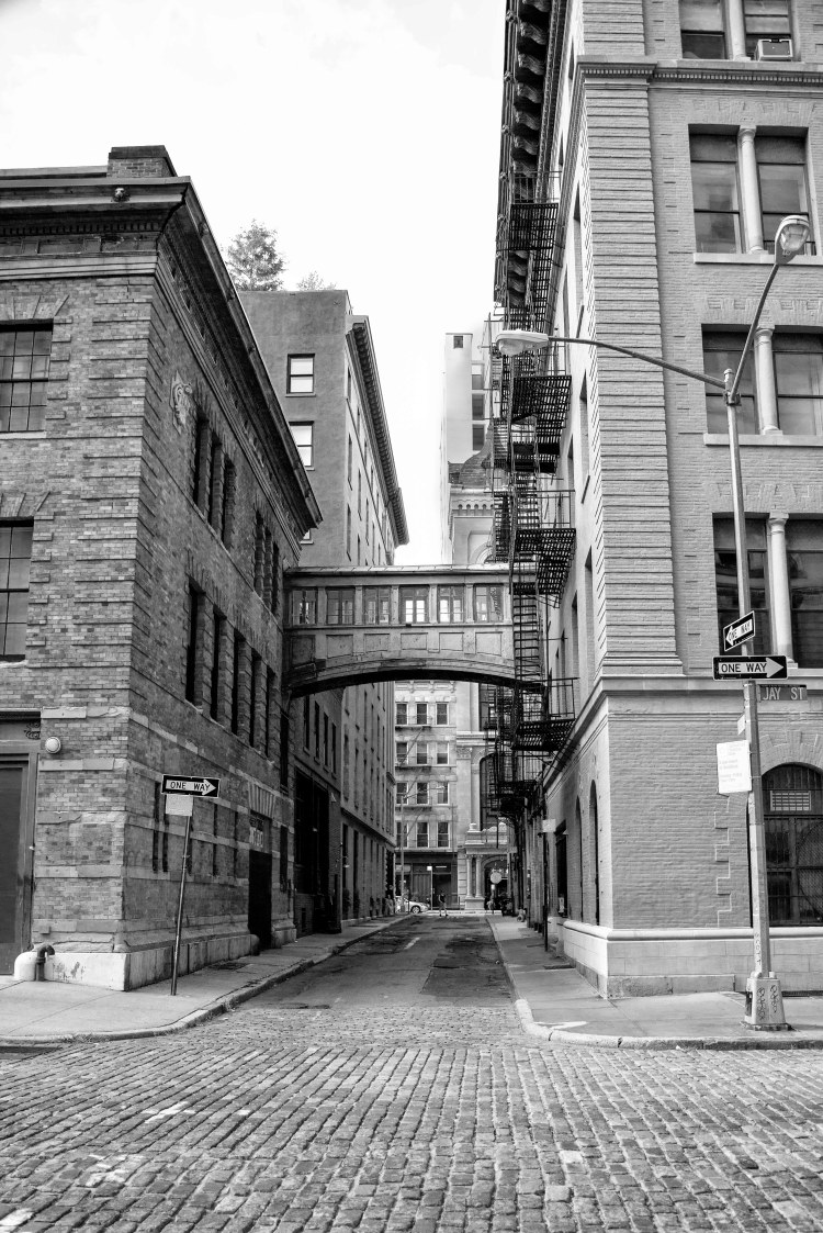 36544394331_7ef21e2b66_o