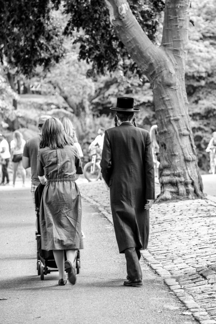 36636436036_b8e5c0f44e_o